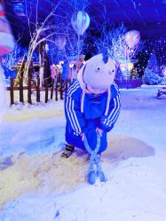 -圣名游乐城冰雪大世界