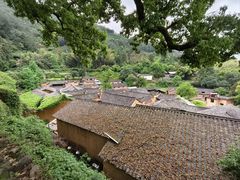 -杨家堂村