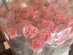-大鸭梨烤鸭·北京菜(南小街/南苑店)