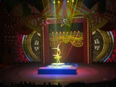 -珠海横琴长隆《卡卡虎奇遇记》