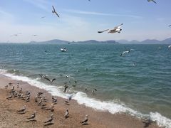 -海驴岛(荣成市)