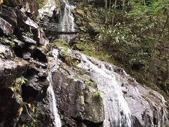 -藏龙百瀑风景区