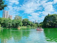 -晓港公园