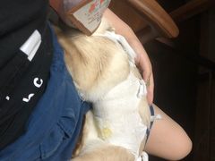 -美美宠物诊疗中心·异宠·骨科(滨江东信分院)