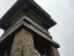 -大湾区中央湿地公园