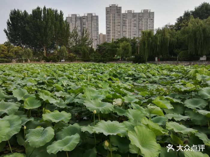 龍泉廣場-圖片-滕州市周邊遊-大眾點評網