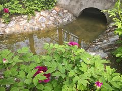 -太阳宫公园