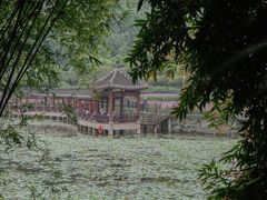 -龙头寺公园