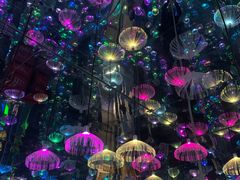 -梵高星空艺术馆(北京旗舰店)