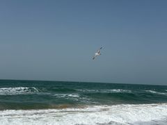 -那香海钻石沙滩浴场