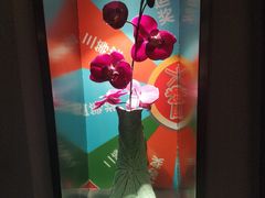 -聚聚火锅.欢聚到半夜(静海店)