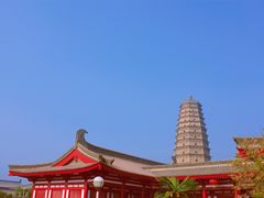 -法门文化景区