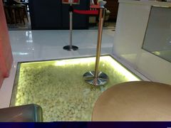 -狐狸和向日葵(北京路店)