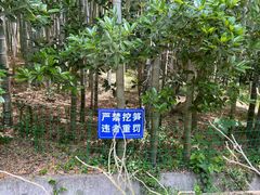 -冶父山国家森林公园