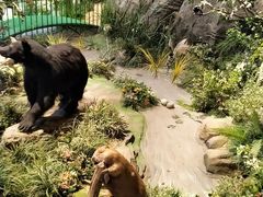 -陕西自然博物馆