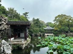 -无锡蠡湖国家湿地公园-蠡园