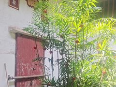 -董府·古宅餐厅