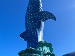 -珠海长隆海洋王国