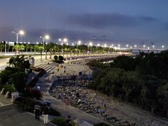 -宝安西湾红树林湿地公园