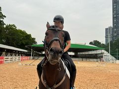 -名驭国际马术学院