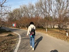 -石家庄市植物园