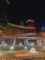 -美丽田园