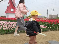 -菊园百果园
