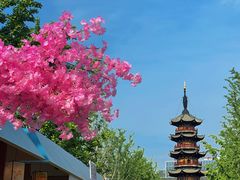 -龙华寺