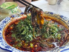 豆腐泥鳅-周鱼鳅饭店
