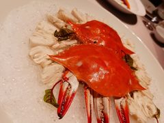 冻梭子蟹-子福慧(虹桥店)