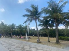-深圳湾公园(南山区)