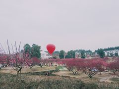 -秀丽东方