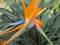 -国家植物园南园