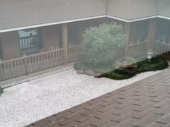 -新木器时代餐厅(太湖新天地店)