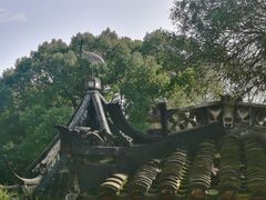 -上海醉白池公园