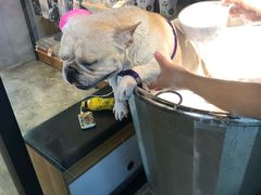 -PETKIT小佩宠物·低压洗护(国顺东路店)