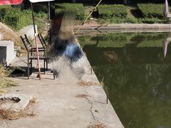 -万源龙顺度假庄园生态观光园