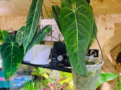 -Rabbit Cafe私房西餐甜点咖啡(栖霞路店)