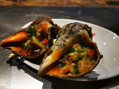 海螺肉-韩国烧烤碳烤生蚝(晋江市青阳味皇烧烤店)