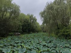 -武清南湖绿博园