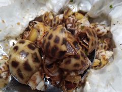 -寻味顺德·珍之宝酒楼(银钻店)