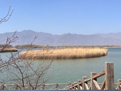 -野鸭湖国家湿地公园