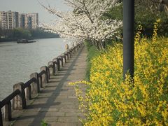 -运河游船(武林门码头)