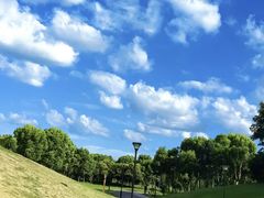 -滆湖低碳生态公园