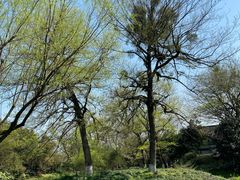 -大宅院(西溪路店)