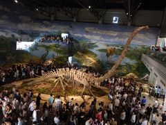 -自贡恐龙博物馆