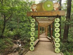 -大岭沟猕猴桃谷风景区