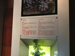 -龙谕酒庄