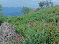 -北京鹫峰国家森林公园