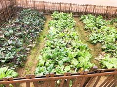 -韶山毛泽东同志故居